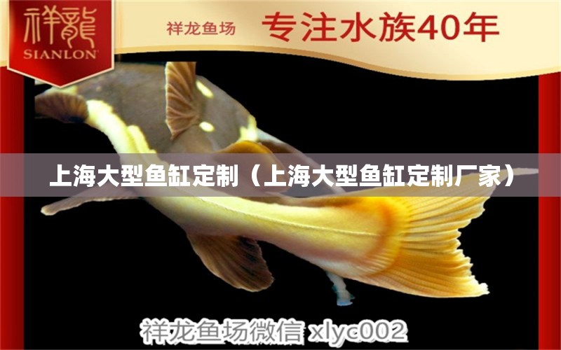 上海大型魚缸定制（上海大型魚缸定制廠家）