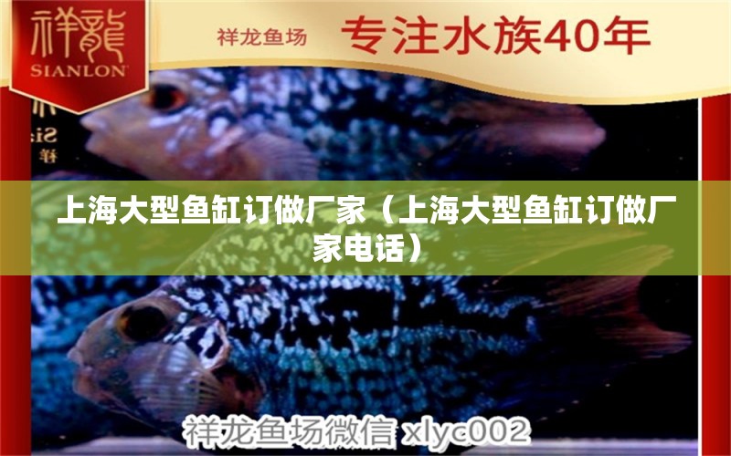 上海大型魚缸訂做廠家（上海大型魚缸訂做廠家電話） 其他品牌魚缸