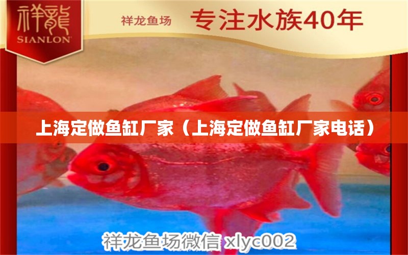 上海定做魚缸廠家（上海定做魚缸廠家電話）