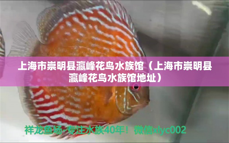 上海市崇明縣瀛峰花鳥水族館（上海市崇明縣瀛峰花鳥水族館地址）