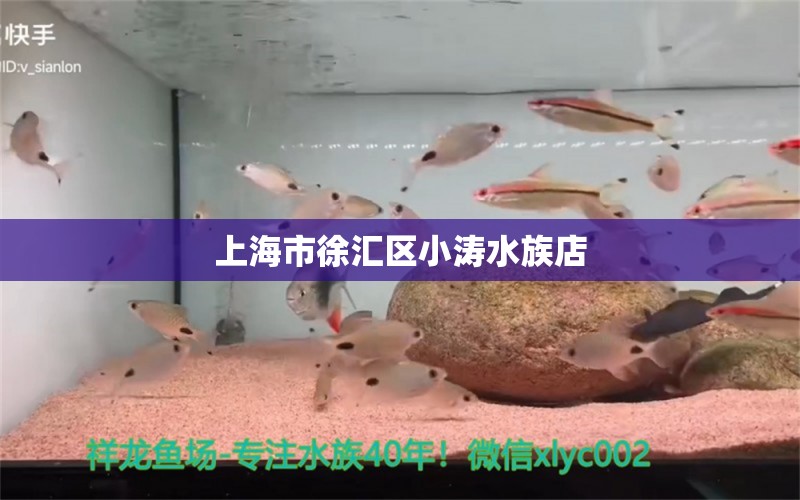 上海市徐匯區(qū)小濤水族店