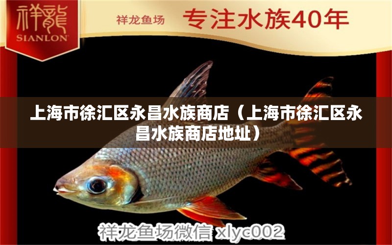 上海市徐匯區(qū)永昌水族商店（上海市徐匯區(qū)永昌水族商店地址） 全國水族館企業(yè)名錄