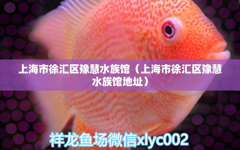 上海市徐匯區(qū)豫慧水族館（上海市徐匯區(qū)豫慧水族館地址）