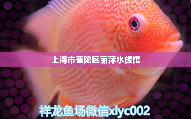 上海市普陀區(qū)麗萍水族館 全國水族館企業(yè)名錄