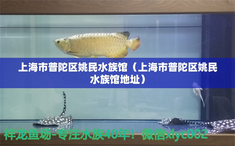 上海市普陀區(qū)姚民水族館（上海市普陀區(qū)姚民水族館地址）