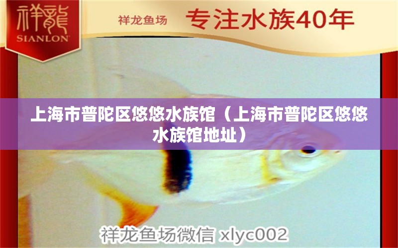 上海市普陀區(qū)悠悠水族館（上海市普陀區(qū)悠悠水族館地址）