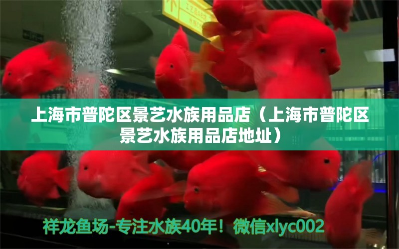 上海市普陀區(qū)景藝水族用品店（上海市普陀區(qū)景藝水族用品店地址）