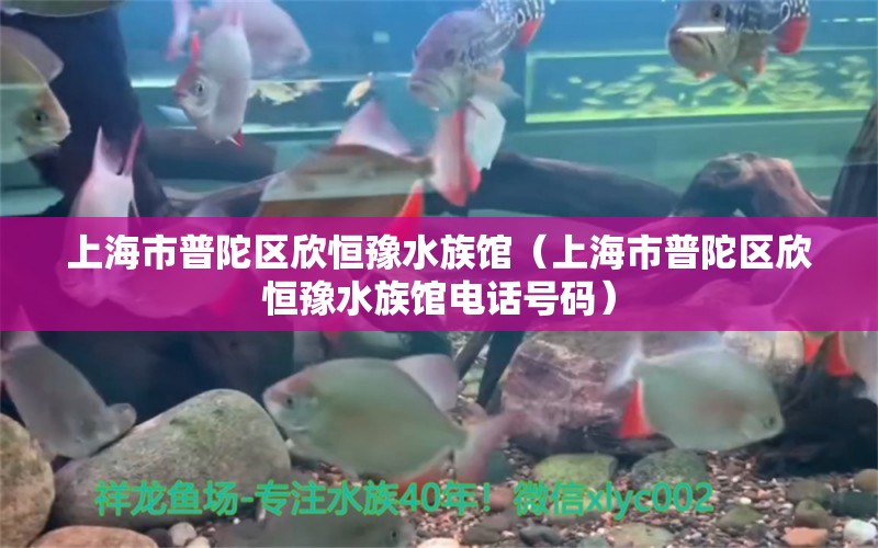 上海市普陀區(qū)欣恒豫水族館（上海市普陀區(qū)欣恒豫水族館電話號碼）