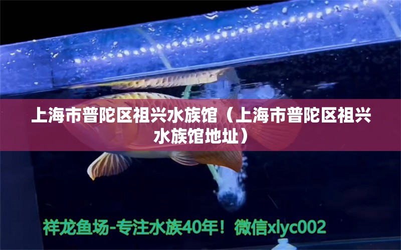 上海市普陀區(qū)祖興水族館（上海市普陀區(qū)祖興水族館地址） 全國(guó)水族館企業(yè)名錄