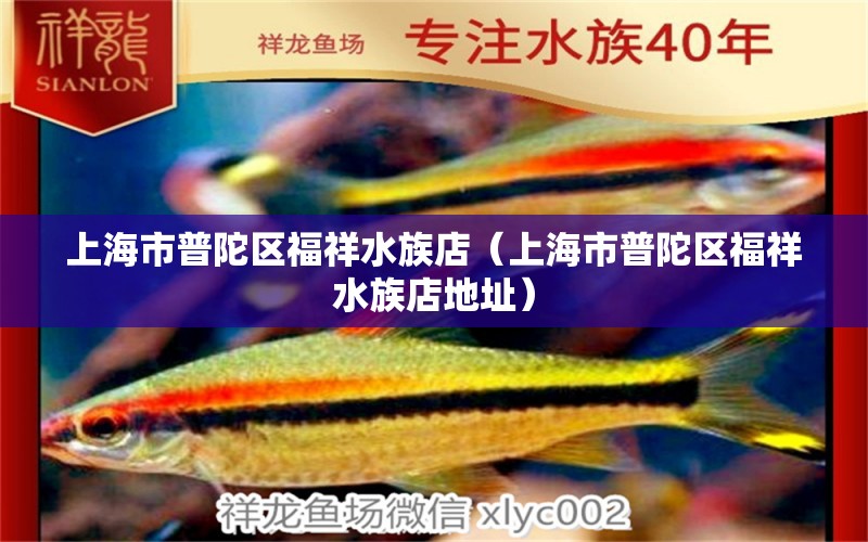 上海市普陀區(qū)福祥水族店（上海市普陀區(qū)福祥水族店地址）