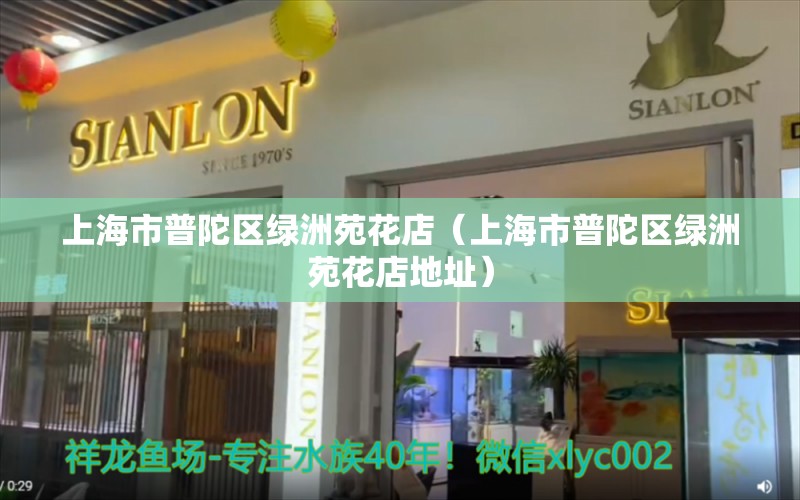 上海市普陀區(qū)綠洲苑花店（上海市普陀區(qū)綠洲苑花店地址） 全國水族館企業(yè)名錄