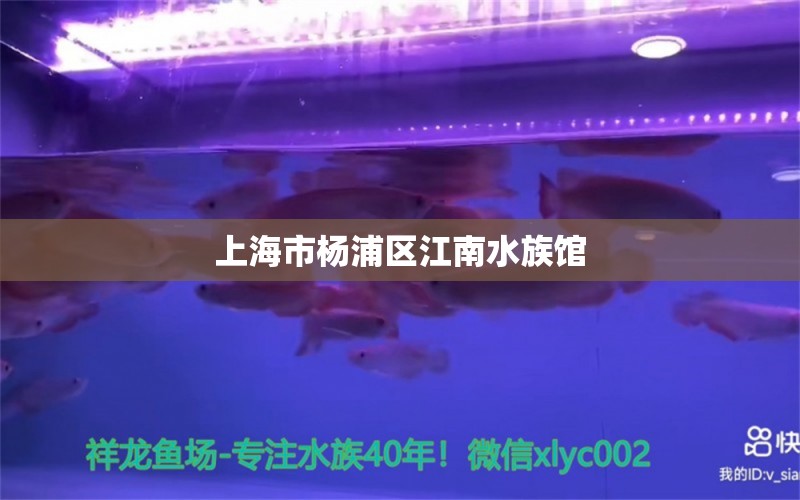 上海市楊浦區(qū)江南水族館