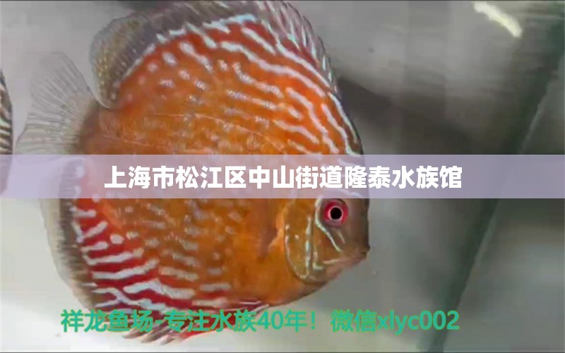 上海市松江區(qū)中山街道隆泰水族館