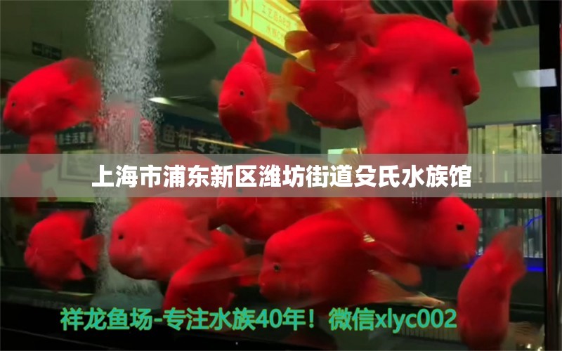 上海市浦東新區(qū)濰坊街道殳氏水族館