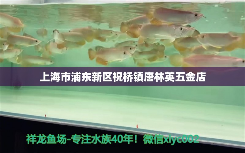 上海市浦東新區(qū)祝橋鎮(zhèn)唐林英五金店 全國(guó)水族館企業(yè)名錄