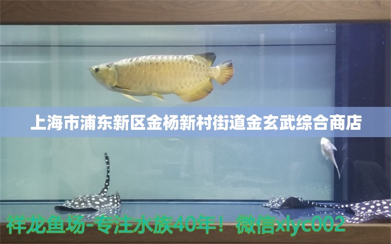 上海市浦東新區(qū)金楊新村街道金玄武綜合商店