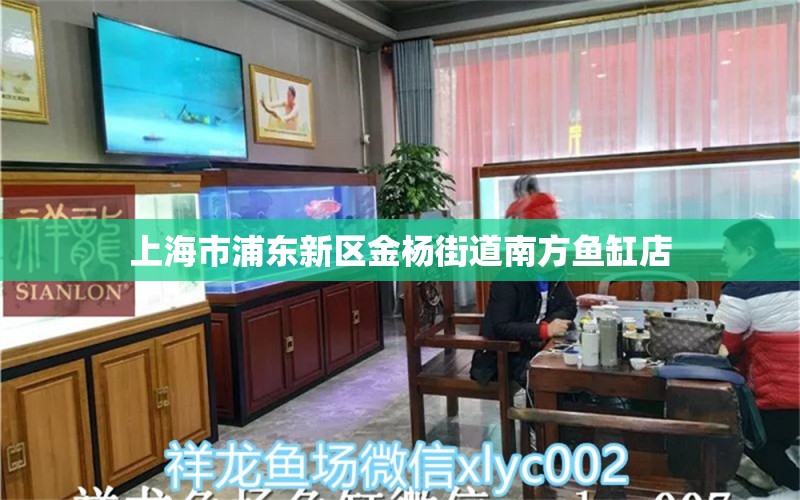 上海市浦東新區(qū)金楊街道南方魚缸店 全國(guó)水族館企業(yè)名錄