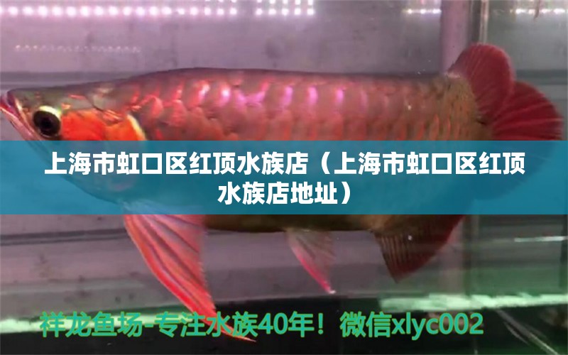 上海市虹口區(qū)紅頂水族店（上海市虹口區(qū)紅頂水族店地址） 全國水族館企業(yè)名錄