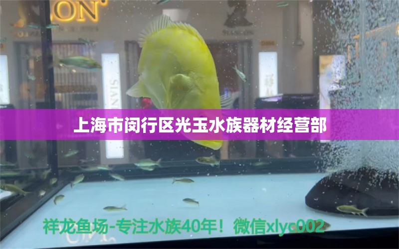 上海市閔行區(qū)光玉水族器材經(jīng)營部