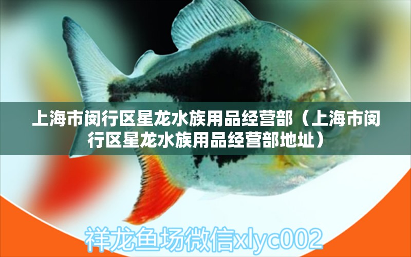 上海市閔行區(qū)星龍水族用品經(jīng)營部（上海市閔行區(qū)星龍水族用品經(jīng)營部地址）