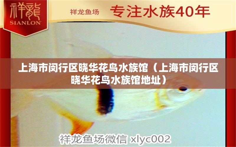 上海市閔行區(qū)曉華花鳥(niǎo)水族館（上海市閔行區(qū)曉華花鳥(niǎo)水族館地址）