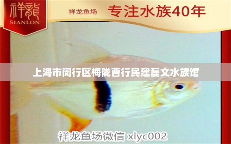 上海市閔行區(qū)梅隴曹行民建磊文水族館 全國水族館企業(yè)名錄