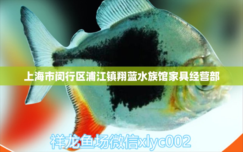 上海市閔行區(qū)浦江鎮(zhèn)翔藍水族館家具經(jīng)營部 全國水族館企業(yè)名錄