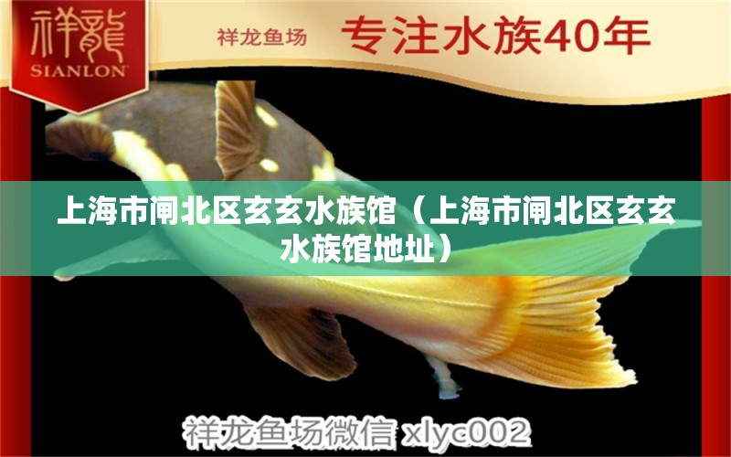 上海市閘北區(qū)玄玄水族館（上海市閘北區(qū)玄玄水族館地址）