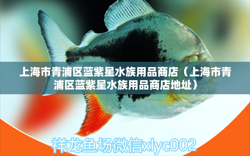 上海市青浦區(qū)藍(lán)紫星水族用品商店（上海市青浦區(qū)藍(lán)紫星水族用品商店地址）