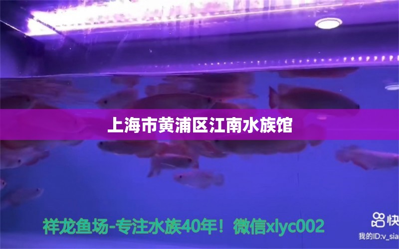 上海市黃浦區(qū)江南水族館