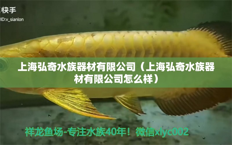 上海弘奇水族器材有限公司（上海弘奇水族器材有限公司怎么樣）