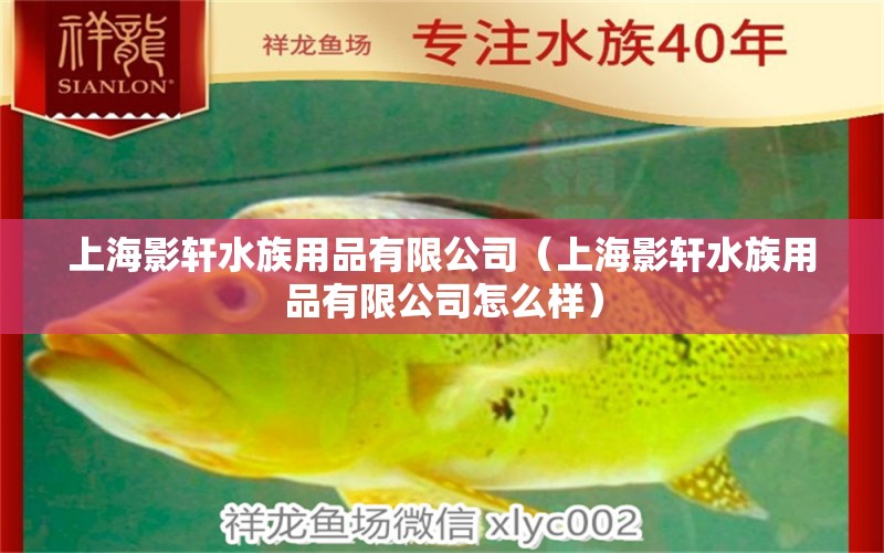 上海影軒水族用品有限公司（上海影軒水族用品有限公司怎么樣）