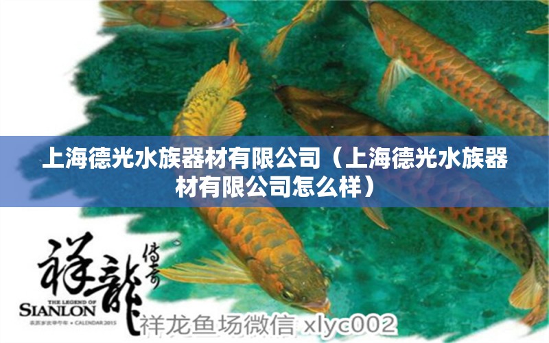 上海德光水族器材有限公司（上海德光水族器材有限公司怎么樣）