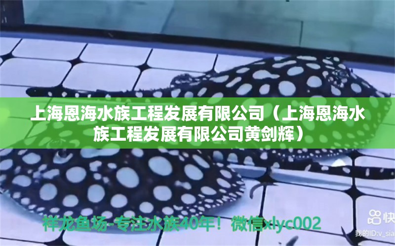 上海恩海水族工程發(fā)展有限公司（上海恩海水族工程發(fā)展有限公司黃劍輝）