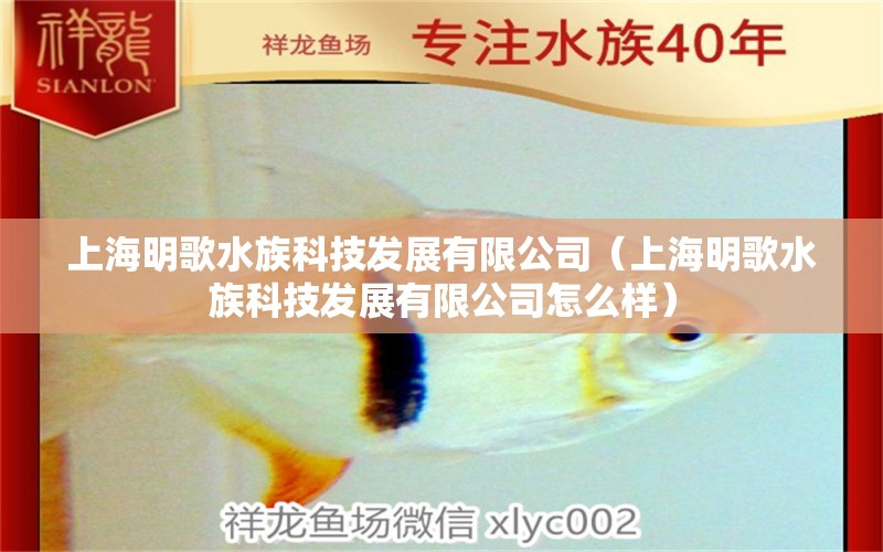 上海明歌水族科技發(fā)展有限公司（上海明歌水族科技發(fā)展有限公司怎么樣） 全國水族館企業(yè)名錄