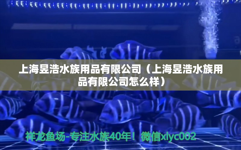 上海昱浩水族用品有限公司（上海昱浩水族用品有限公司怎么樣） 水族用品