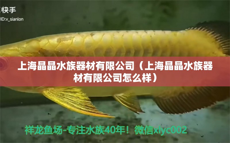 上海晶晶水族器材有限公司（上海晶晶水族器材有限公司怎么樣）