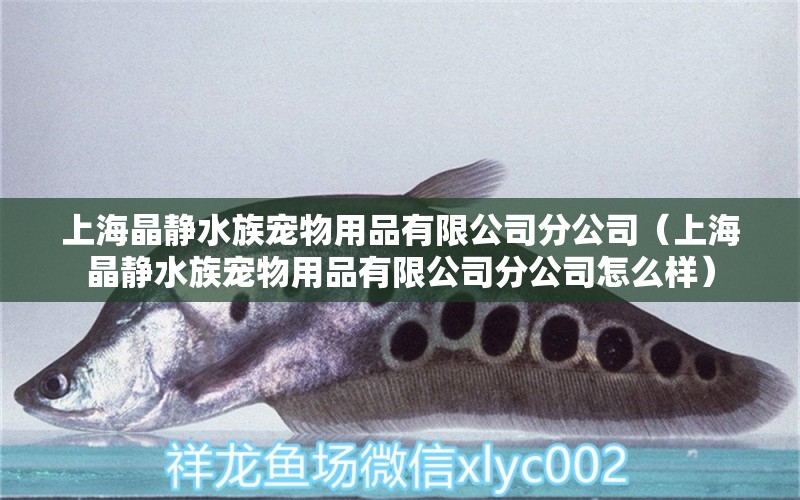 上海晶靜水族寵物用品有限公司分公司（上海晶靜水族寵物用品有限公司分公司怎么樣） 全國水族館企業(yè)名錄