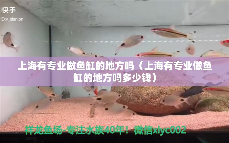 上海有專業(yè)做魚缸的地方嗎（上海有專業(yè)做魚缸的地方嗎多少錢）