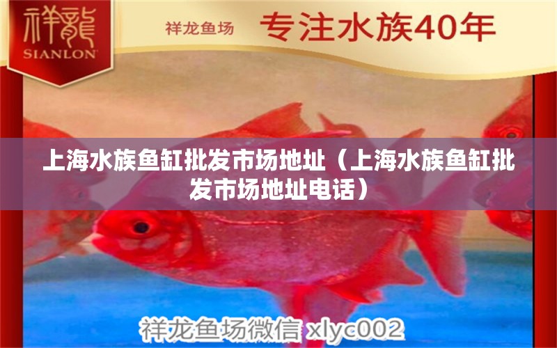 上海水族魚缸批發(fā)市場(chǎng)地址（上海水族魚缸批發(fā)市場(chǎng)地址電話） 其他品牌魚缸