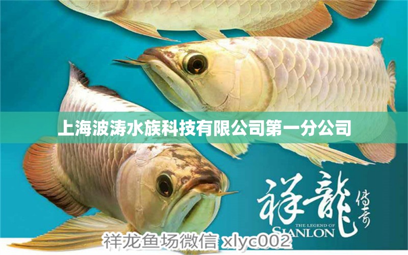 上海波濤水族科技有限公司第一分公司