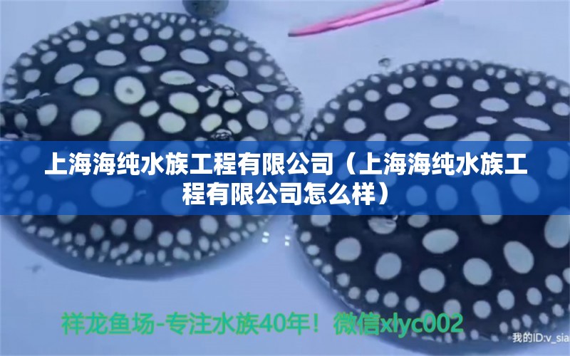 上海海純水族工程有限公司（上海海純水族工程有限公司怎么樣）