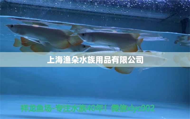 上海漁朵水族用品有限公司 水族用品