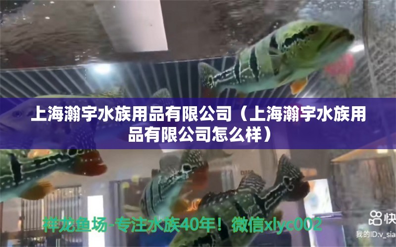 上海瀚宇水族用品有限公司（上海瀚宇水族用品有限公司怎么樣）