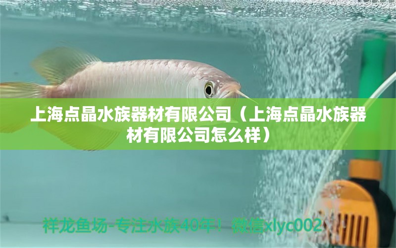 上海點(diǎn)晶水族器材有限公司（上海點(diǎn)晶水族器材有限公司怎么樣）