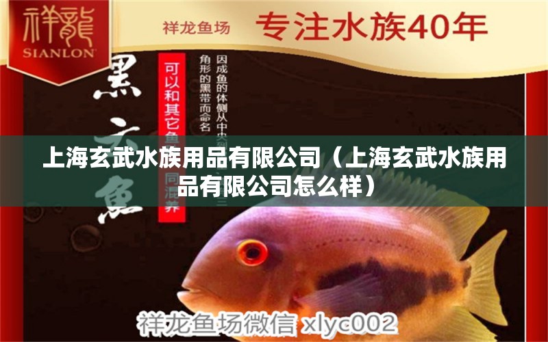 上海玄武水族用品有限公司（上海玄武水族用品有限公司怎么樣） 水族用品