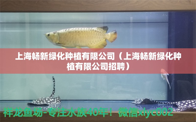 上海暢新綠化種植有限公司（上海暢新綠化種植有限公司招聘）