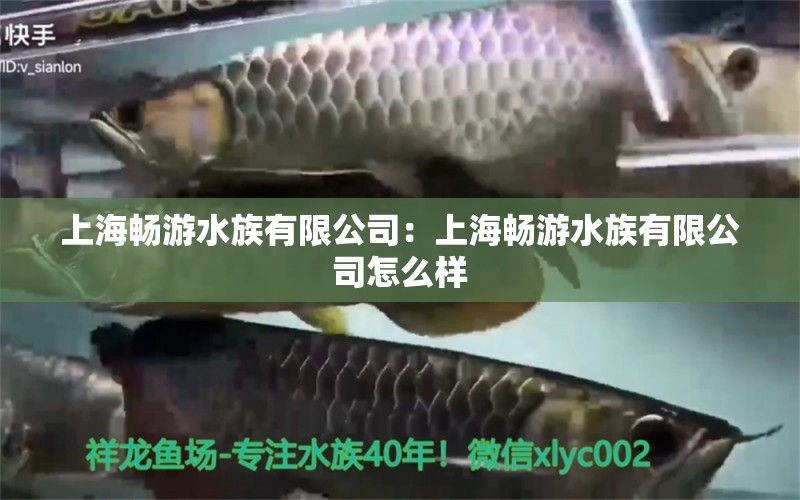 上海暢游水族有限公司：上海暢游水族有限公司怎么樣 全國(guó)水族館企業(yè)名錄