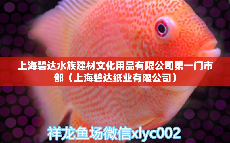 上海碧達(dá)水族建材文化用品有限公司第一門市部（上海碧達(dá)紙業(yè)有限公司）