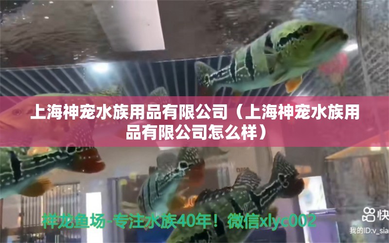 上海神寵水族用品有限公司（上海神寵水族用品有限公司怎么樣）